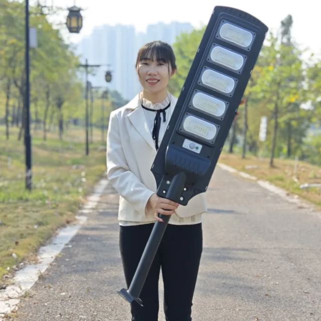 All In One LED Solar Street Light